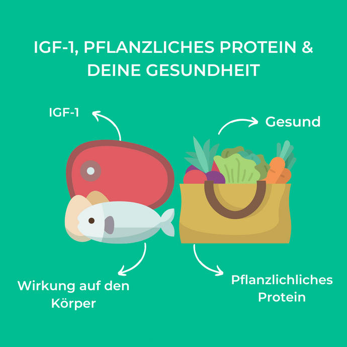 IGF-1, pflanzliches Protein & deine Gesundheit
