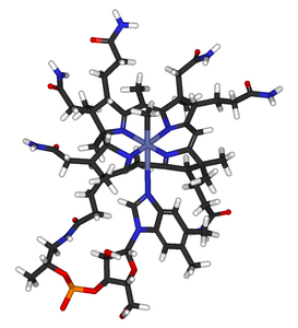 Vitamin B12 (Holo-TC)